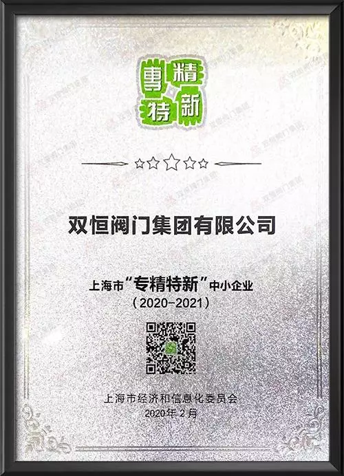 上海市专精特新企业（2020-2021）