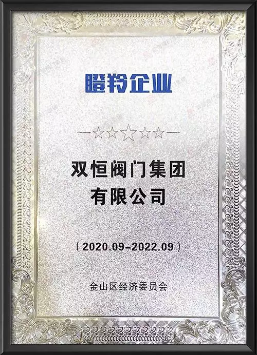 上海市金山区瞪羚企业（2020.09-2022.09）