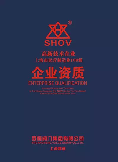 双恒阀门集团企业资质